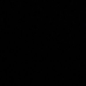 Meet your Posher, Ella